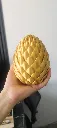 1000808884.webp