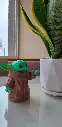 1000006172.webp